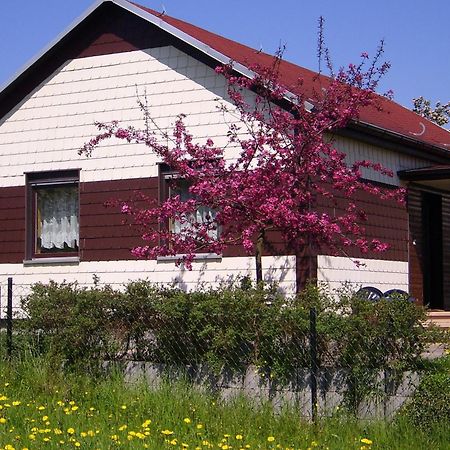 Waldblick Villa Waltershausen Bagian luar foto